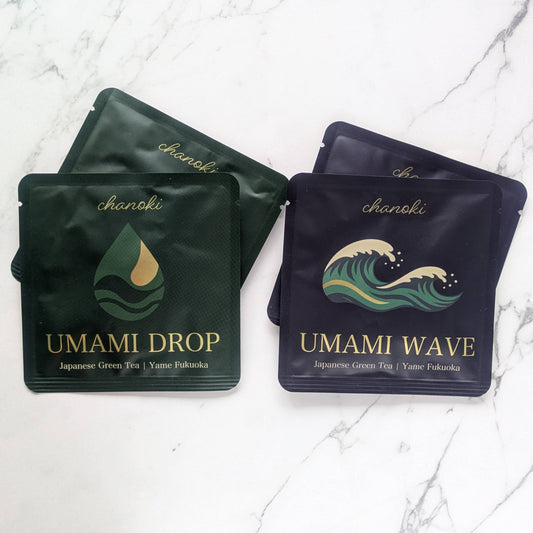 [送料無料] 福岡県八女産煎茶 ティーバッグセット